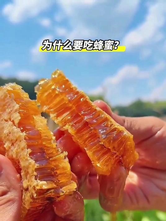 为什要吃土蜂蜜？来自大山深处的 土蜂蜜营养价值更高！#土蜂蜜##三农##滋补##618省心