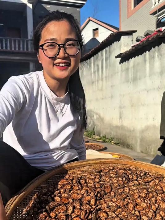 云南大山里的红藤,又称血塞通,通经活络,活血化瘀,泡水喝很好