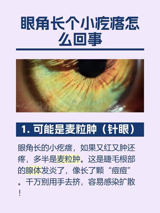 眼角长个小疙瘩怎么回事