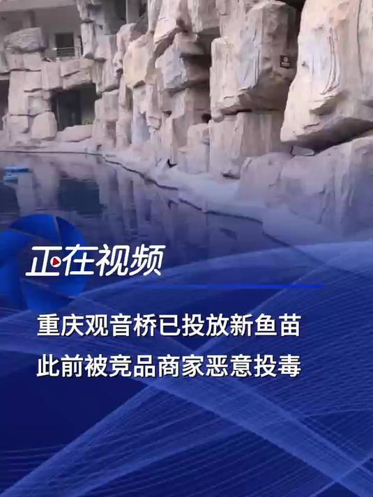 重庆观音桥已投放新鱼苗,此前被竞品商家恶意投毒