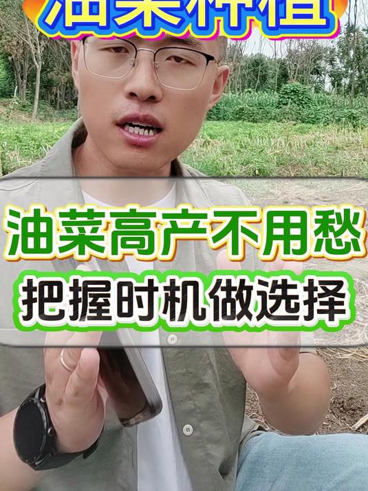 油菜种植6个关键点,把握时机才高产