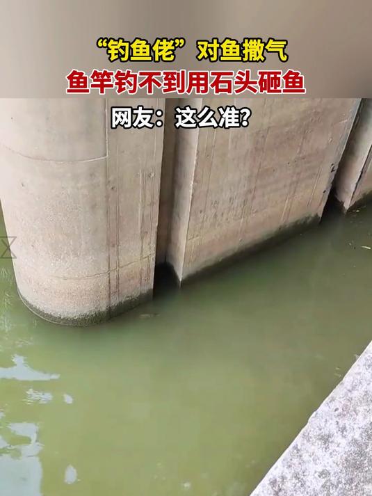“钓鱼佬”对鱼撒气，鱼竿钓不到用石头砸鱼，网友：这么准？
