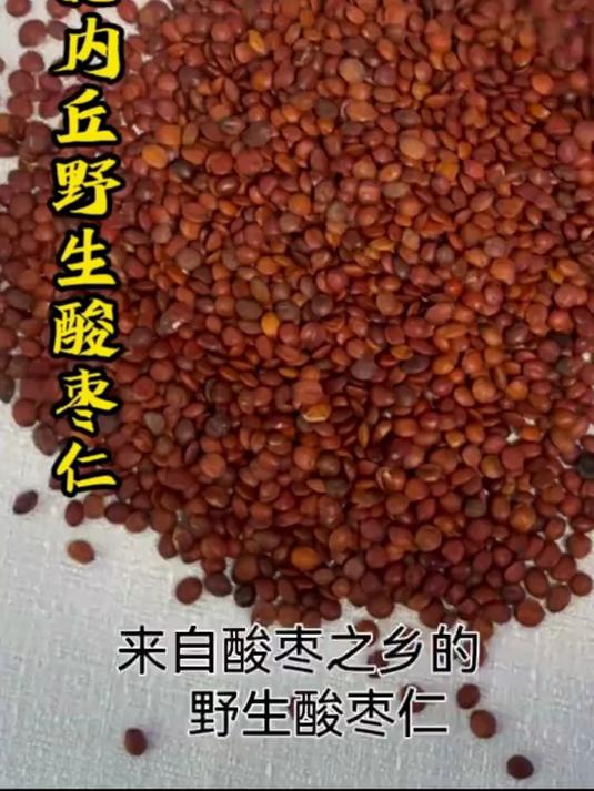 河北内丘野生酸枣仁