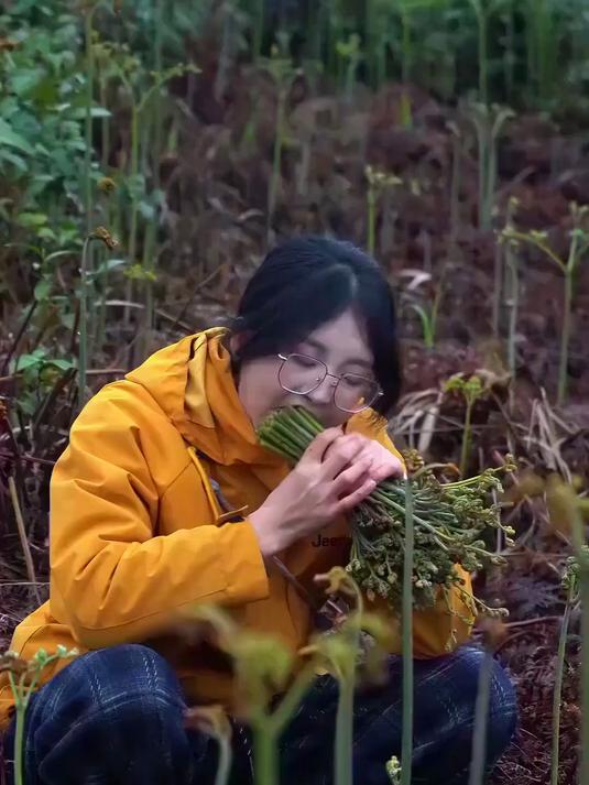 你会吃蕨菜吗？你们都吃哪种蕨菜？ 