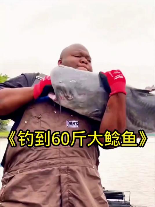 男子钓到一条60多斤的巨型鲶鱼,男子也没想到会钓到这么大的鲶鱼