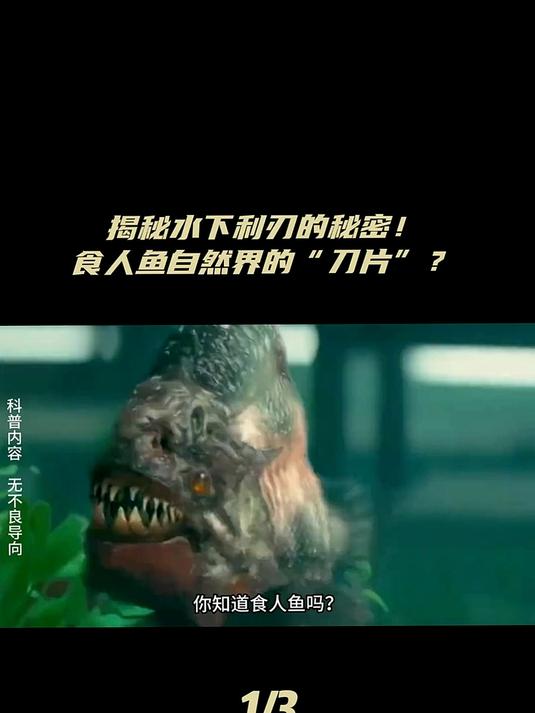 食人鱼,传说中的恐怖生物,还是真实水域的猎手?