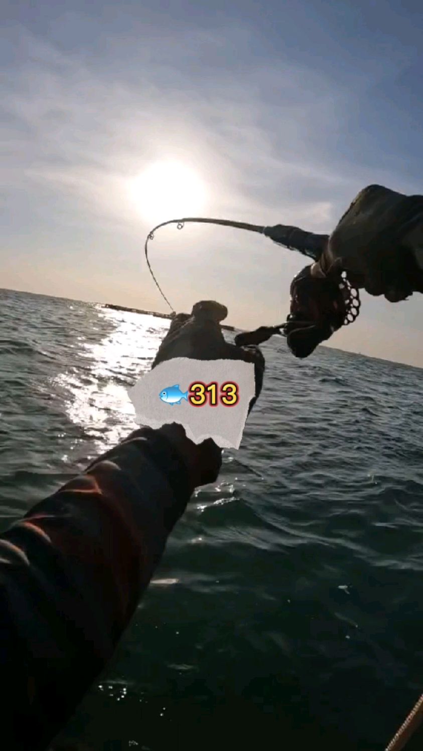 钓鱼人313!夕阳下钓鱼也挺有意境的