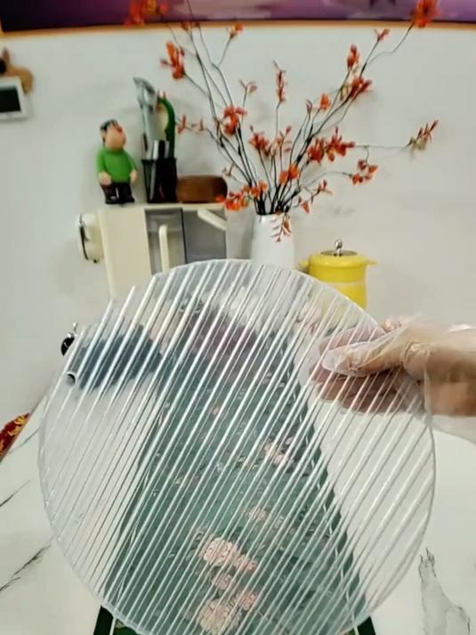 春节必备!简约饺子盘包盖帘助你轻松包饺子