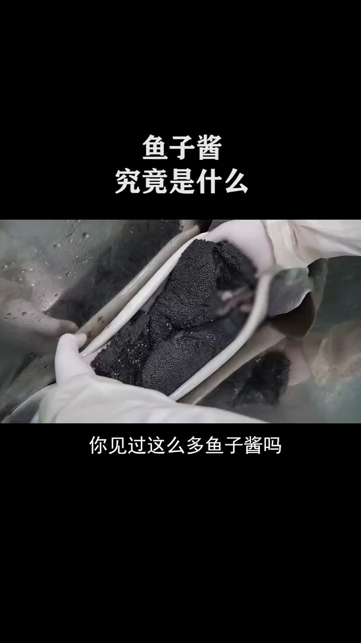 鱼子酱究竟是什么?