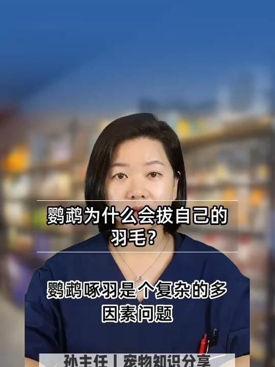 鹦鹉为什么会拔自己的羽毛?