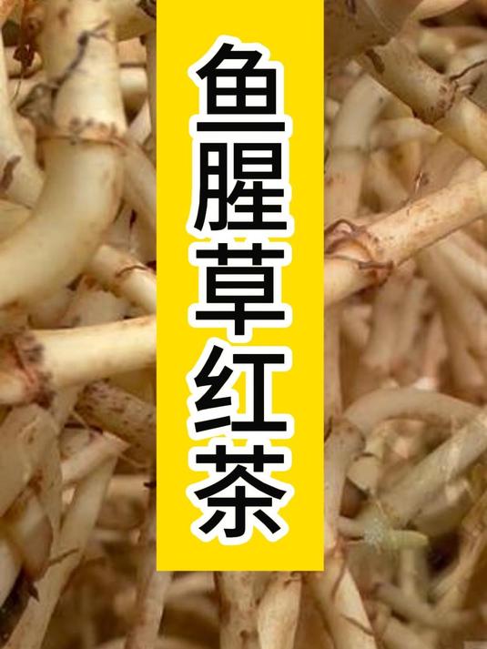 鱼腥草又叫折耳根,用红茶发酵工艺做茶,香甜润到位 万物皆可茶