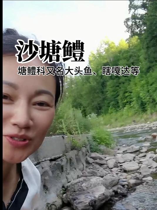 它的头比较大,在我们这叫大头鱼,也有人叫瞎嘎达