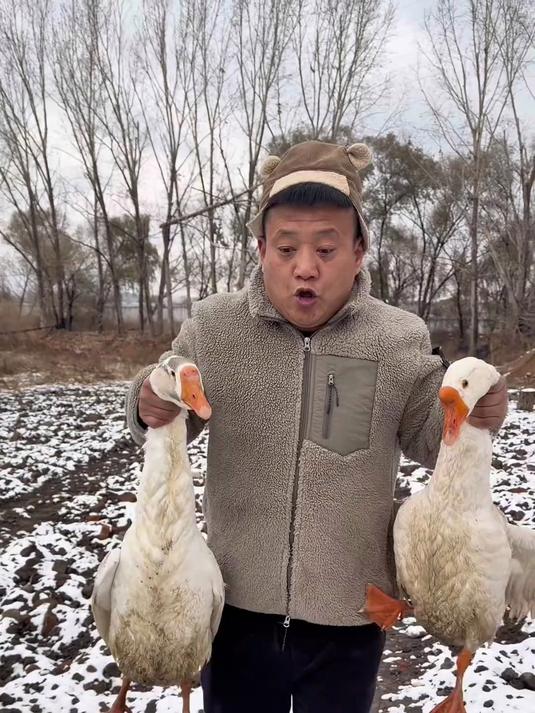 落雪似银河！在我门东北！这时候必须铁锅炖大鹅！