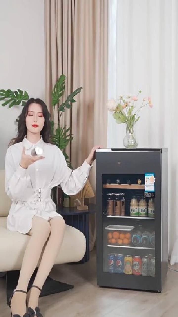 东芝101冰吧轻奢家用冷藏柜保鲜柜办公冰柜藏酒柜