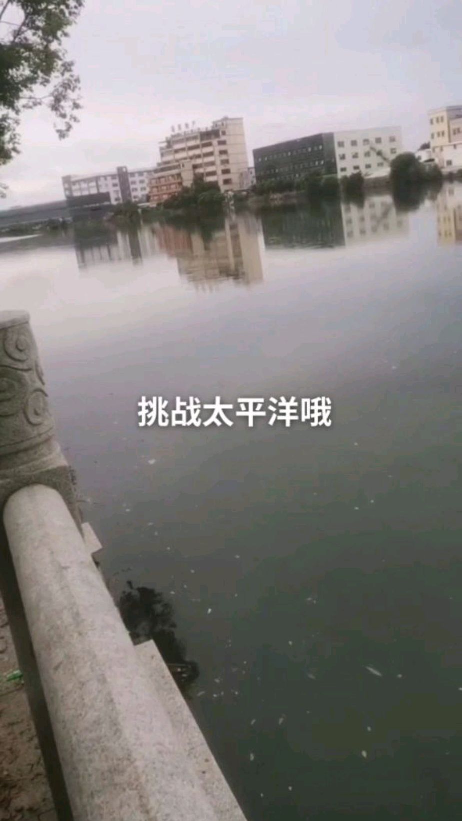 打甲鱼师傅户外用甲鱼枪打甲鱼捡一样喔