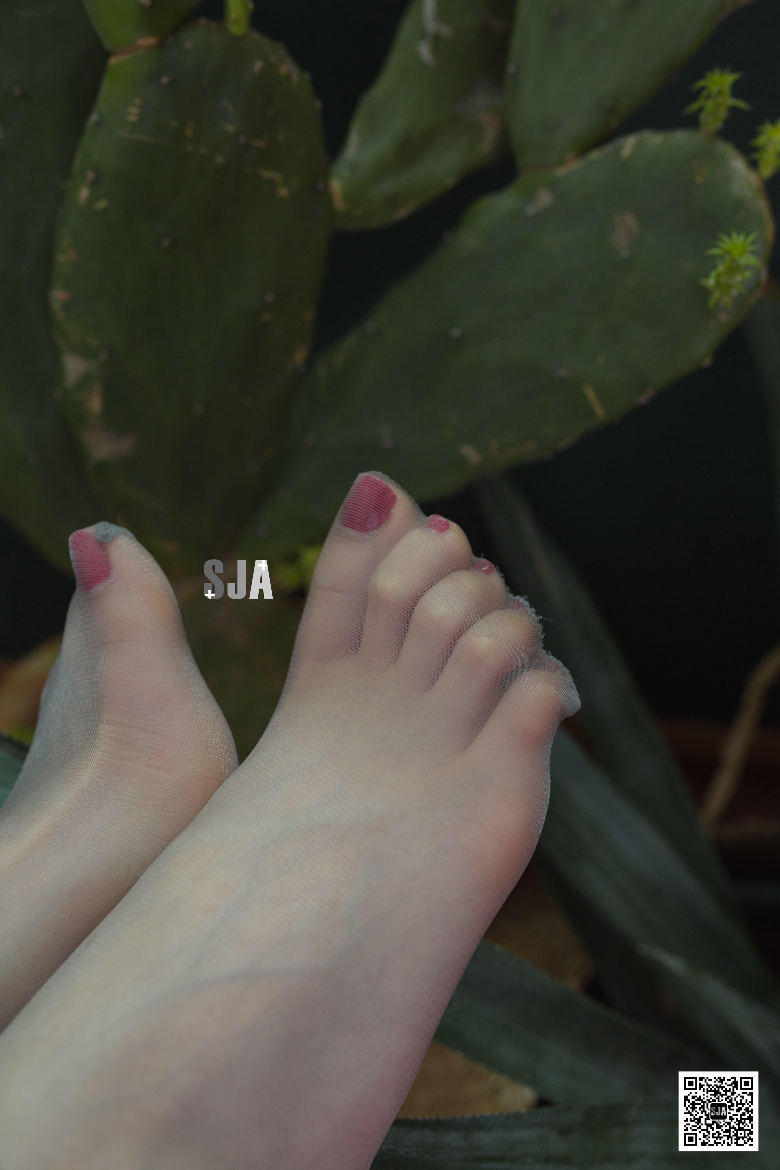 图片[47]-[SJA佳爷]闺蜜视角 NO.032 椿 [65P+88M]-六色网