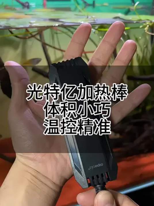 光特亿迷你加热棒 小巧精准 适配小鱼缸超好用