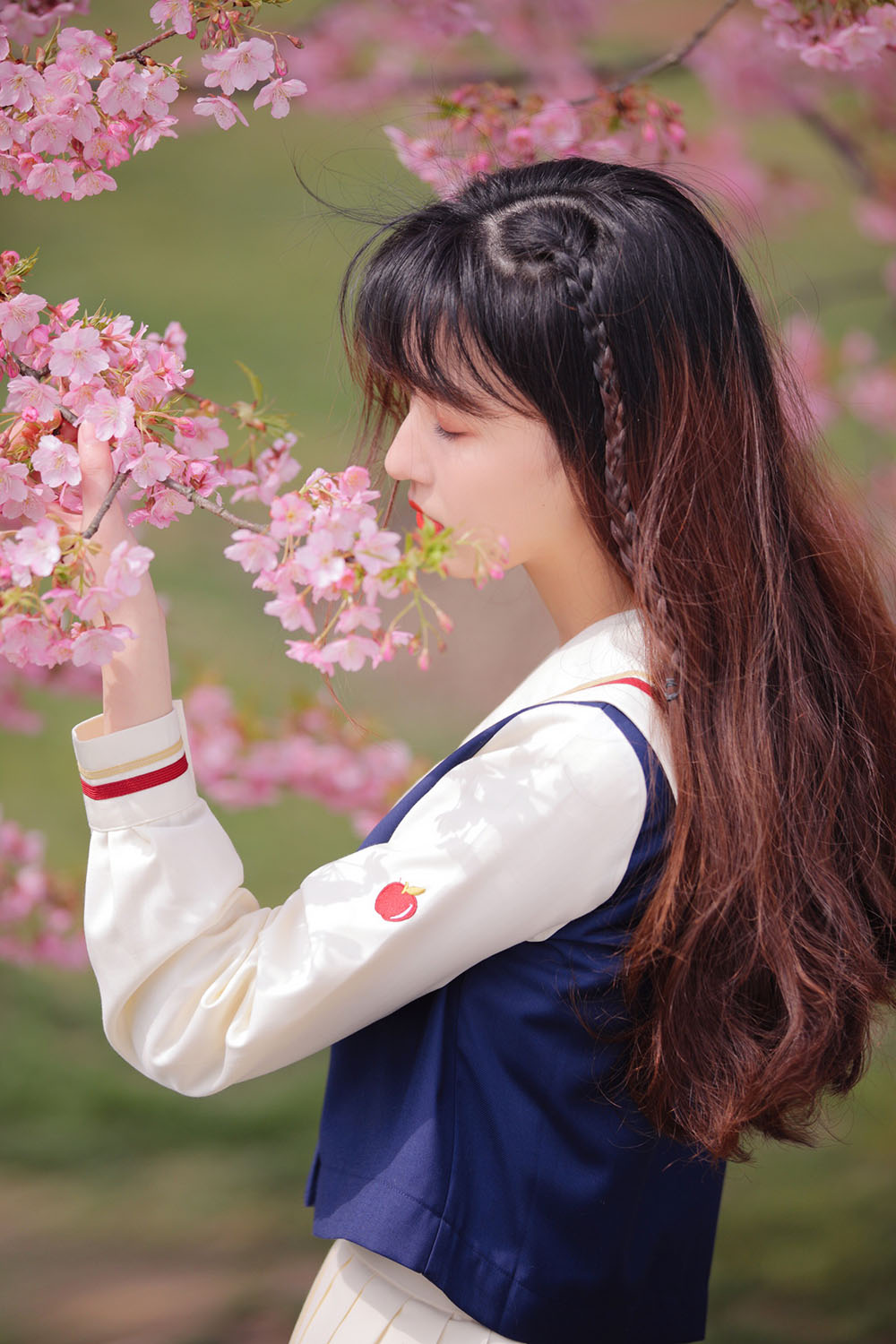 图片[35]-樱花-六色网