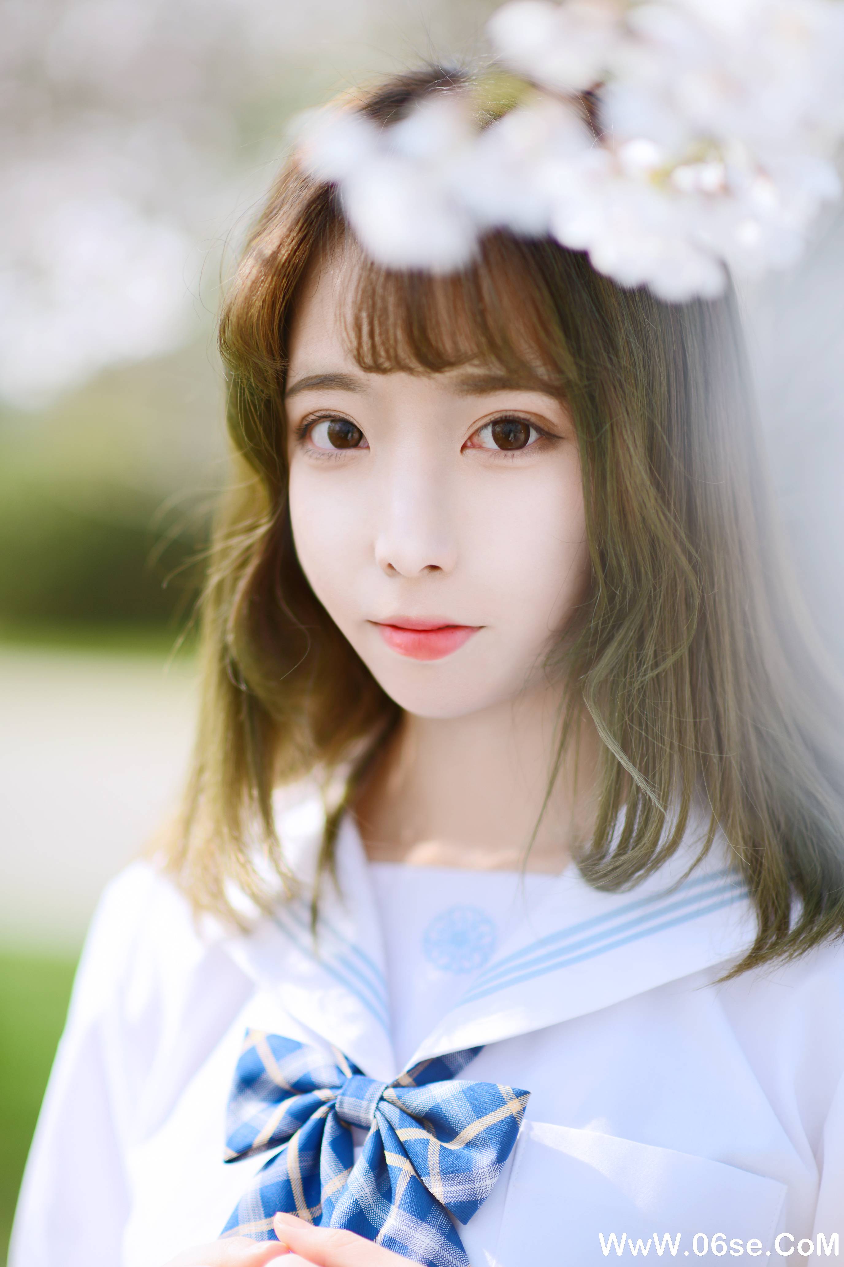 图片[2]-Fushii_海堂 NO.010 — 樱花树下[41P266M]-六色网