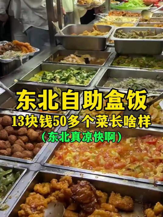 东北自助盒饭 13块钱50多个菜长啥样?