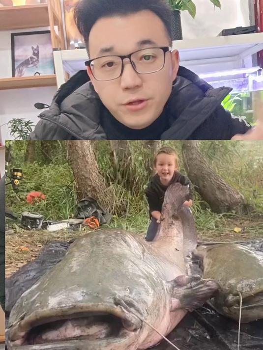 200多斤巨型鲶鱼可以生吞女人吗