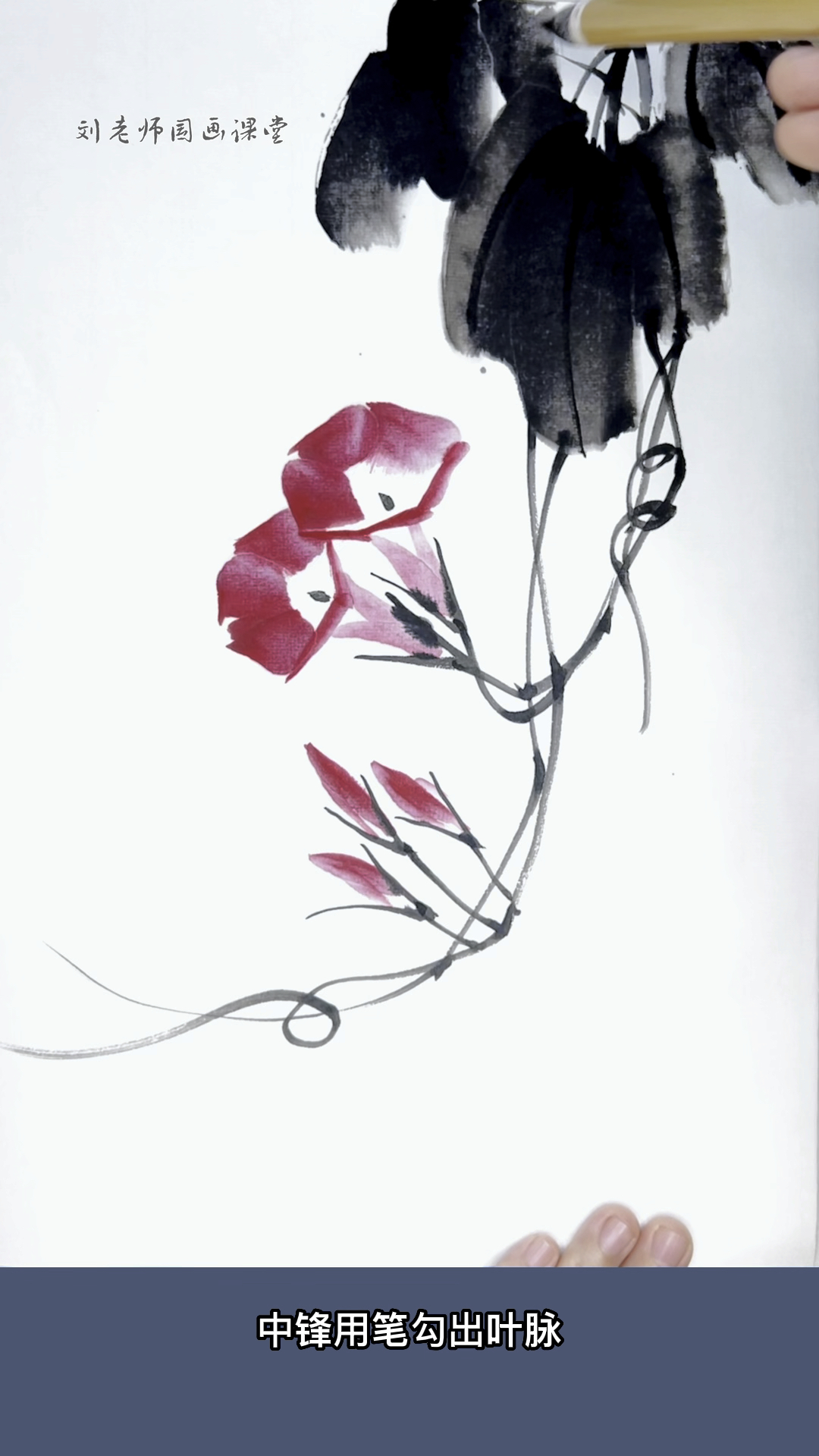 写意牵牛花的画法