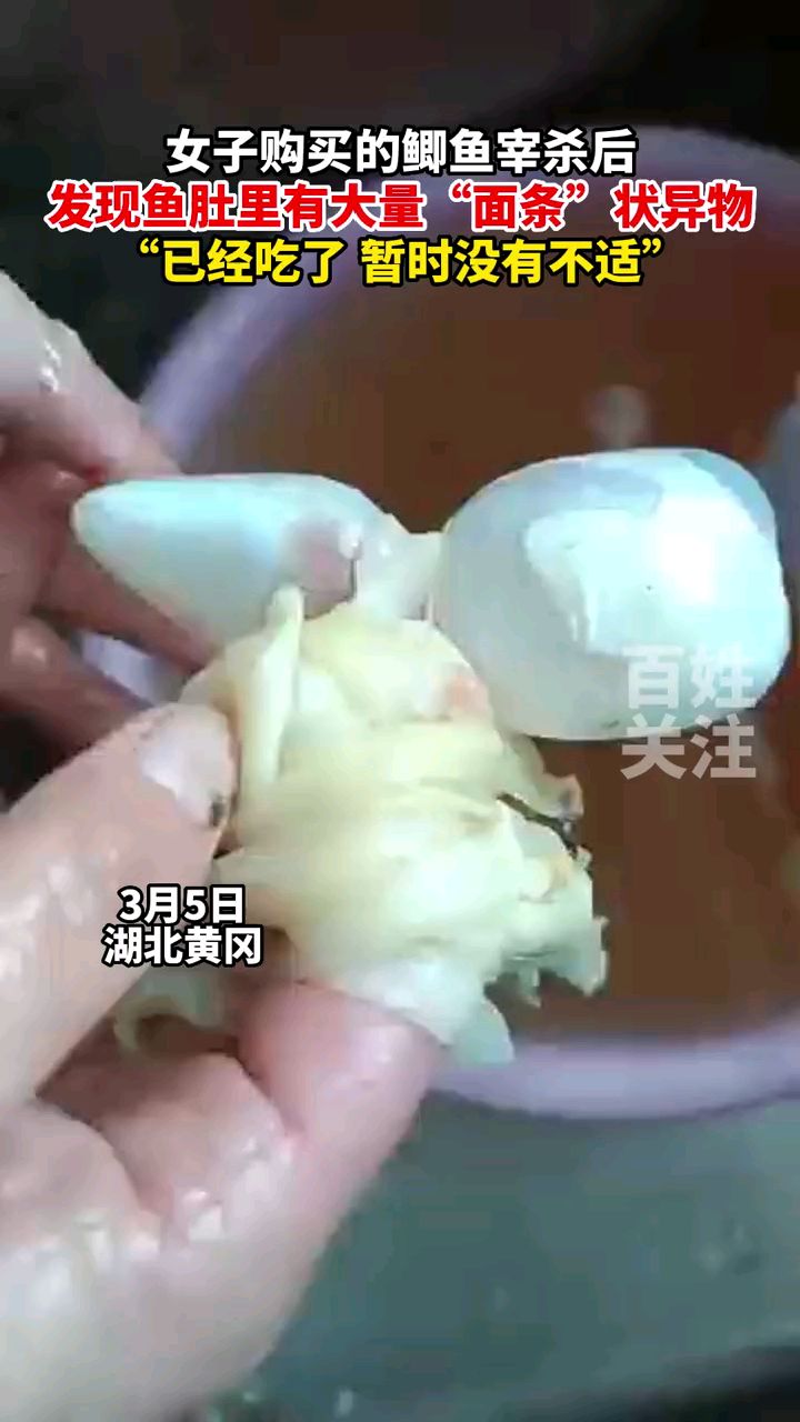 女子购买的鲫鱼宰杀后,发现鱼肚里有大量“面条”状异物