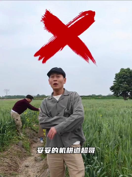 春日麦田,如何拍出具有高级感的旅行大片