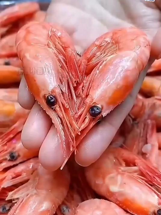 北极甜虾,给味蕾一场旅行