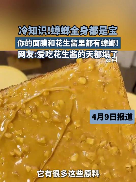 冷知识!蟑螂全身都是宝,你的面膜和花生酱里都有蟑螂!