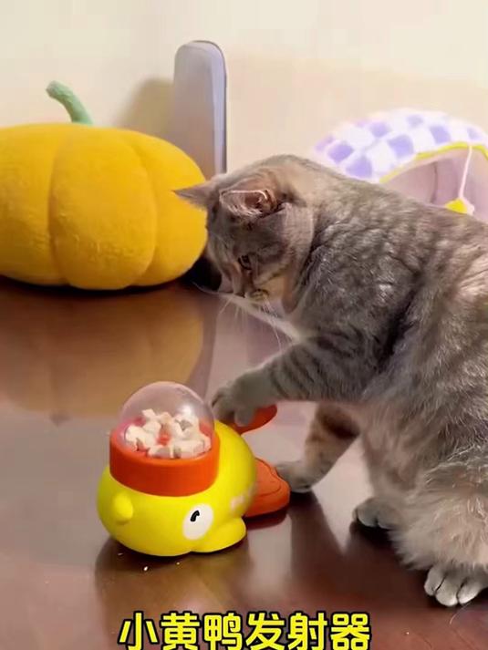 萌鸭漏食响不停！猫狗疯扑藏玩具，出粮快玩着秒吃饱！