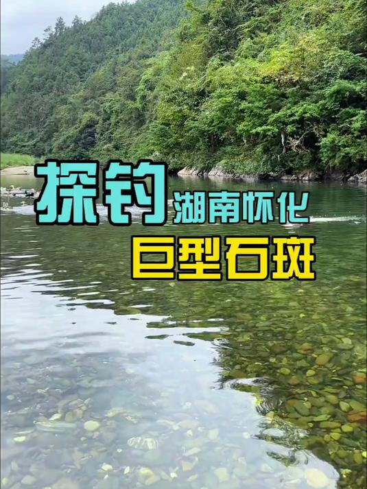 探钓深山溪流,这里巨型石斑鱼太多了吧,每一竿都能拉到手软