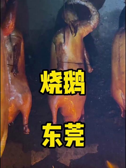 人生首次打卡东莞烧鹅！正宗广式风味直击味蕾