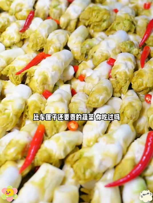 泡儿菜这个菜高颜值还很脆嫩好吃却鲜为人知