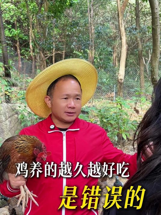 说真的,鸡也有“赏味期”,别把清远鸡熬成“老顽固”啦!