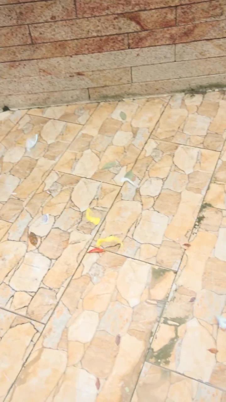 丢!我这里绝不能出现合成鱼胶!这是底线!