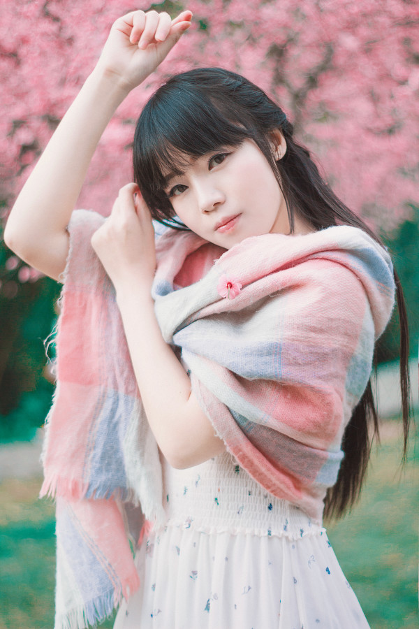 图片[7]-少女与樱-六色网