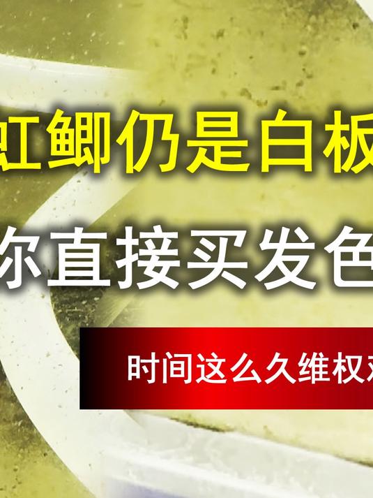 养了半年的 “钻石彩虹鲫” 仍是 “白板鱼”?是不是商家的套路