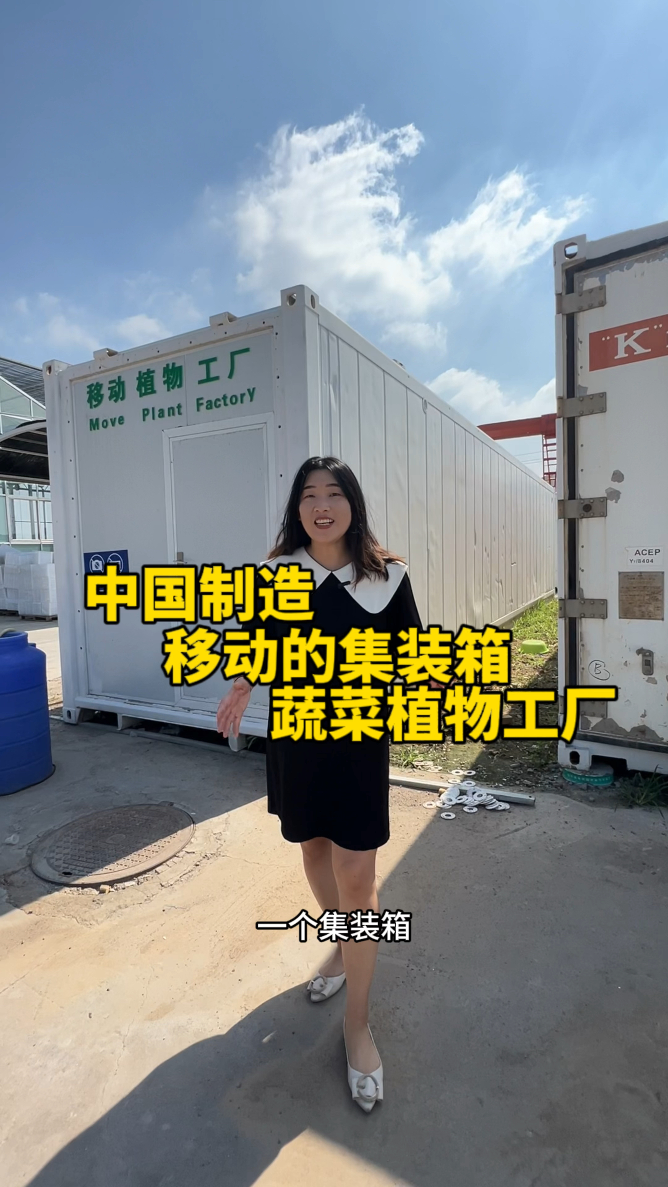 一个集装箱30平,可以种5000棵蔬菜!一个移动的绿色植物工厂!