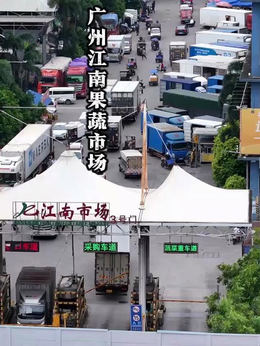 这就是全国最大的农贸市场，广州江南果蔬市场，它被誉为国内进口水果的老大