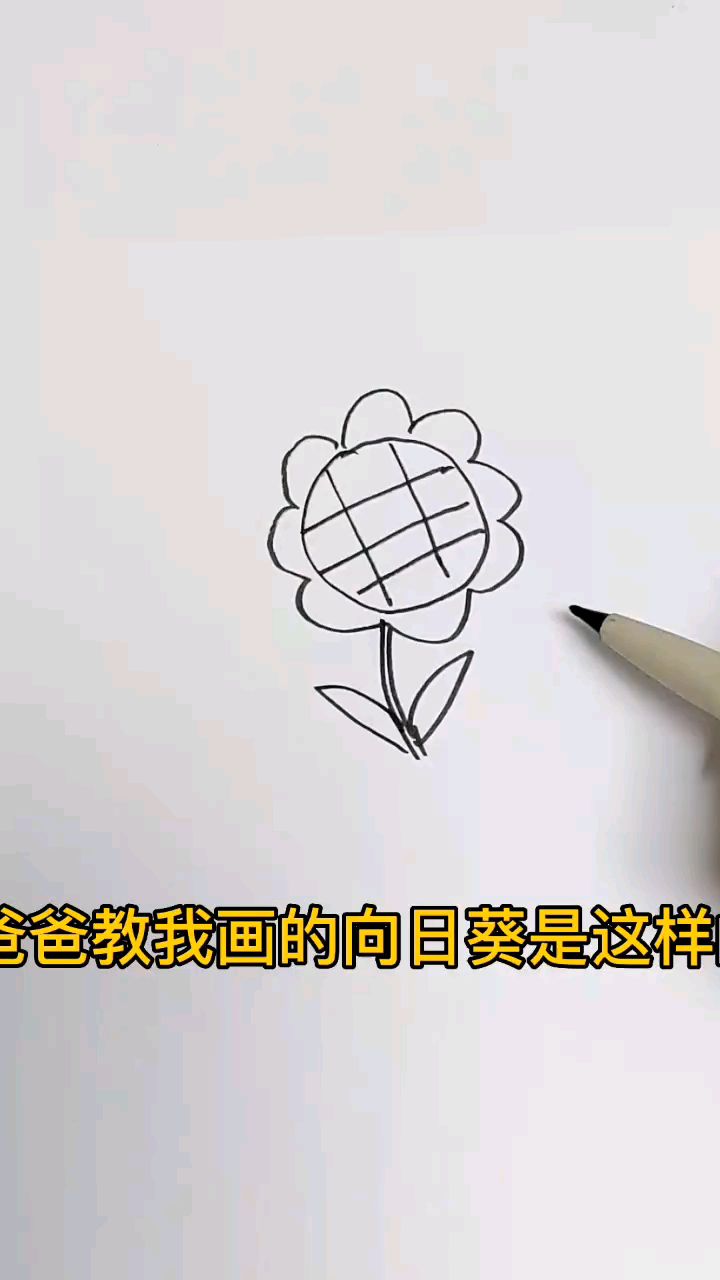 爸爸教我画的向日葵,创意简笔画,儿童画,趣味画