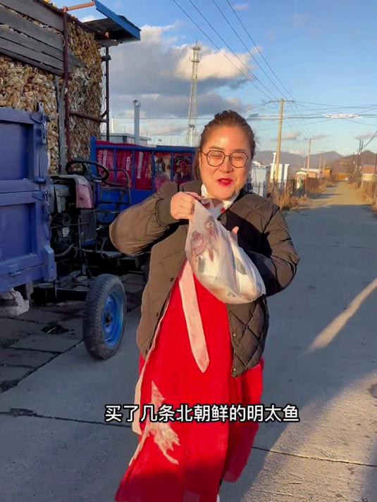 买了几条北朝鲜的明太鱼,一会给他辣焖上