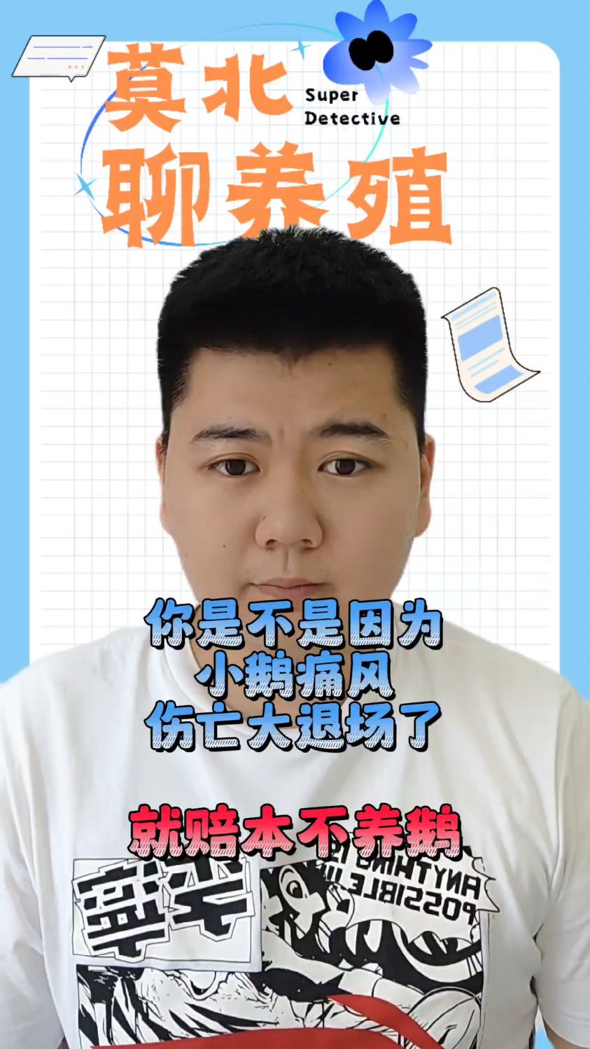 #鹅为什么容易得痛风引起鹅痛风的原因小鹅痛风高发期在第几天鹅多少天之后不会得痛风