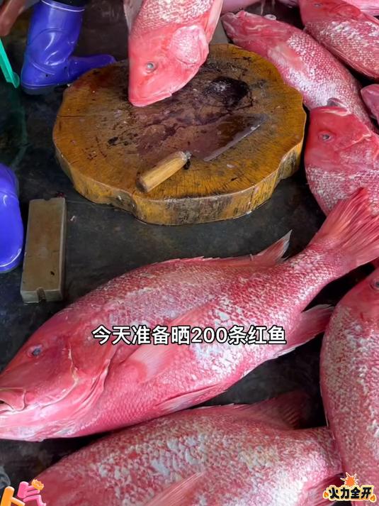 淡晒大红鱼干肉厚鲜香,肉质紧实,煎炒焖炖家常好海味#大红鱼干##百家号618现金奖励带货挑