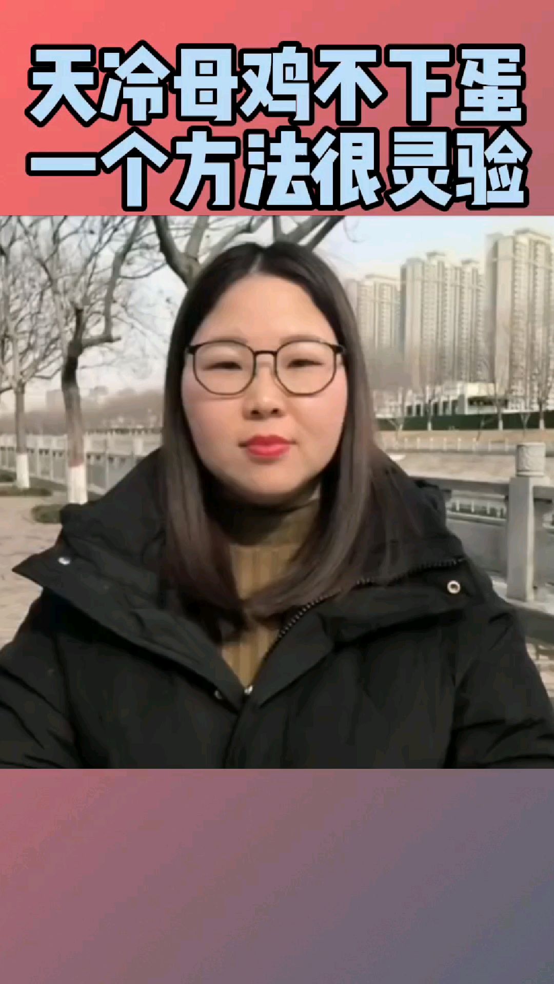 冬季母鸡不下蛋,应该怎么办?点开视频我教你
