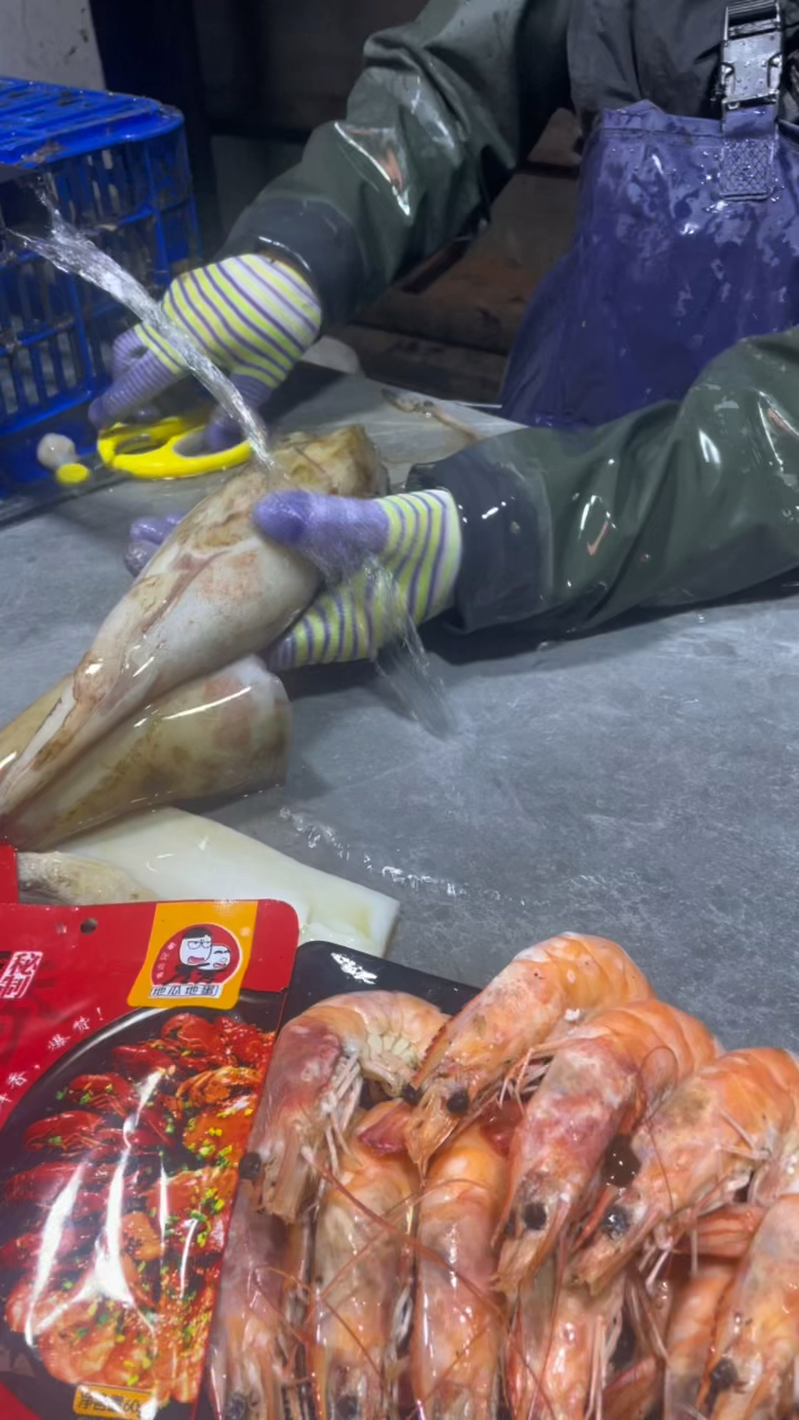 刚钓上来的深海大鱿鱼