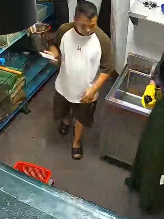 饭店里的鱼缸爆裂 给客人整懵了,鱼自己游过来了