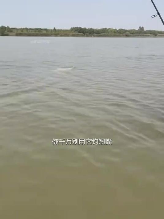 25新款路亚软饵假饵,钓鲈鱼鳜鱼鲶鱼黑鱼,钓友必备!
