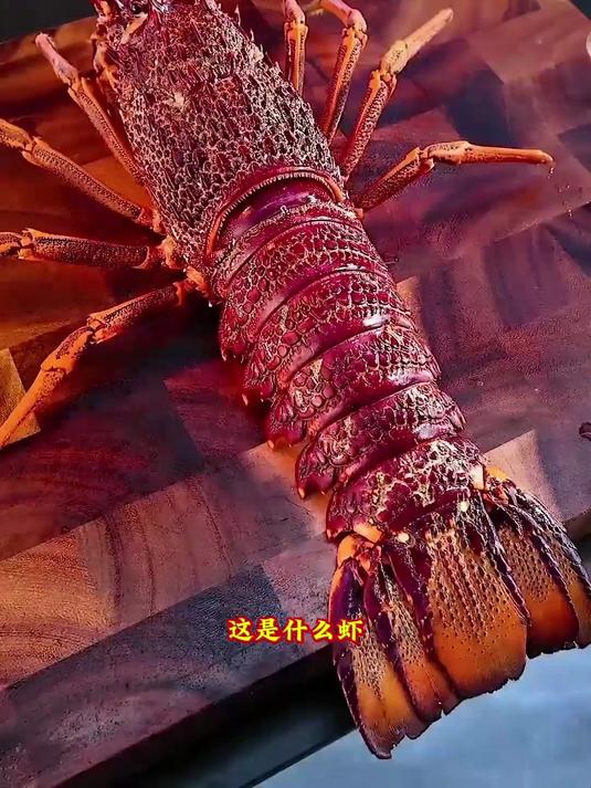这么多的龙虾,你认识多少种,你还知道其他品种吗