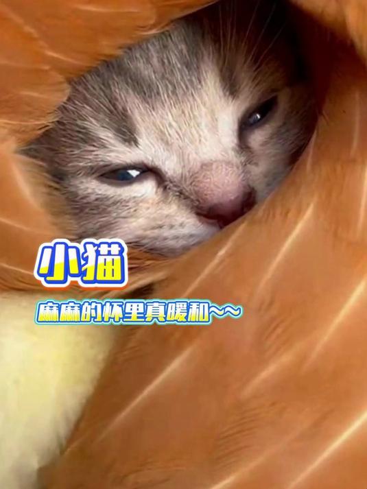 小鸡:这是我妈妈!